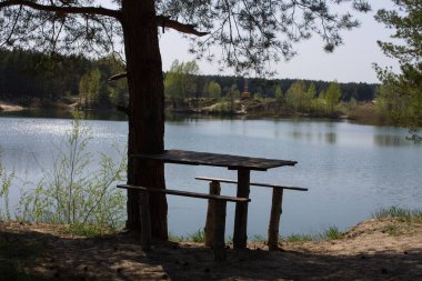 Svitlovodsk, Kirovohrad bölgesi, Ukrayna yakınlarında kumlu kıyıları olan mavi orman gölü