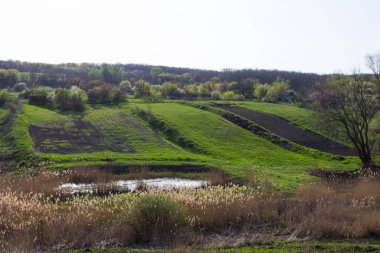 Orta Ukrayna 'da bahar doğası 