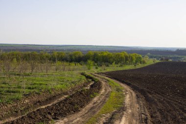 Orta Ukrayna 'da bahar doğası 