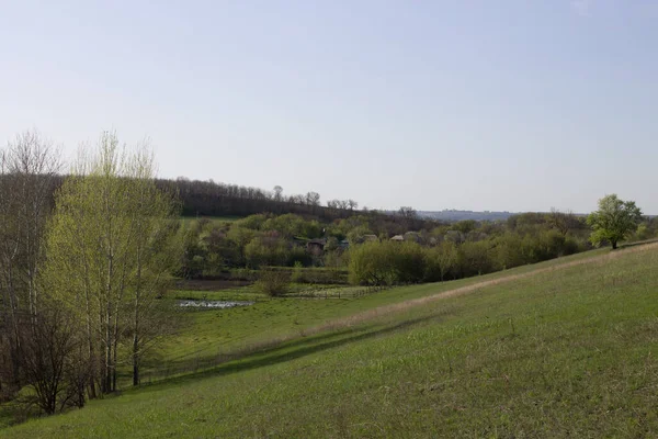 Voorjaarsnatuur Centraal Oekraïne — Stockfoto