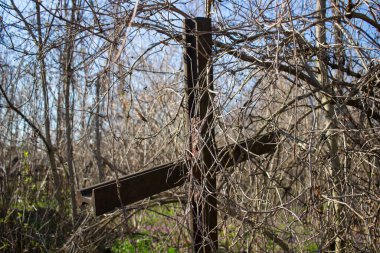 Smila, Ukrayna - 14 Mart 2020: Polonya mezarlığı 