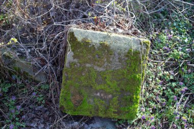 Smila, Ukrayna - 14 Mart 2020: Polonya mezarlığı 