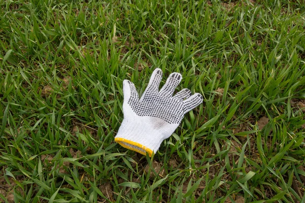 Work glove on green grass