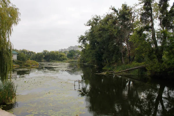 Bohuslav Ucrania Septiembre 2018 Orillas Granito Del Río Ros Bohuslav — Foto de Stock