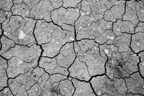   Dünyanın 7 üzerinde çatlaklar