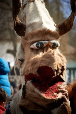 Shiroka Laka, Bulgaristan - Mart 5: Kukeri denilen geleneksel kostümler giymiş insanlar baharın gelişini Shiroka Laka, Bulgaristan, ritüel dansları ile 5 Şubat 2017 üzerinde kutlamak.