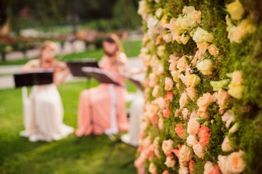 güzel düğün dekorasyon zemin üzerine çiçekli yakın çekim fotoğraf