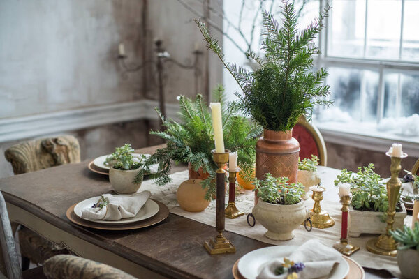 View of festive table with vintage candlesticks, plants in pots and spruce compositions