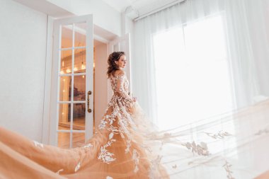 Şık Abiye poz içinde muhteşem bir genç kadın 