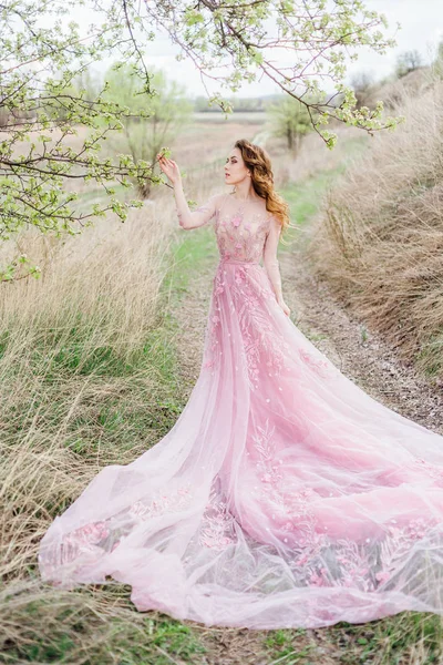 Junge Schöne Frau Posiert Freien Rosa Kleid Natur Landschaft Auf — Stockfoto