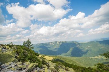 Karpat yaz manzarası, dağlar ve mavi gökyüzündeki bulutlar. Genç ağaçlar gökyüzüne karşı.