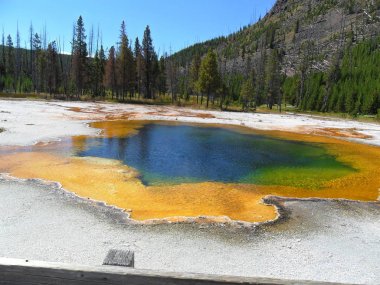  Siyah kum Havzası Yellowstone Milli Parkı'nda  