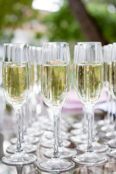 Ποτήρια σαμπάνιας λευκό κρασί. Γυάλινα ποτήρια με χρωματιστά ποτά στο τραπέζι — Φωτογραφία Αρχείου