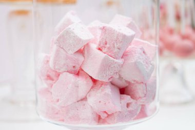 Şeffaf bir büyük vazo içinde pembe hatmi