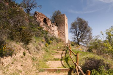 Poza de la Sal, Burgos 'un kuzeyinde Las Merindades, Castilla y Leon. Felix Rodriguez de la Fuente köyü. İspanya