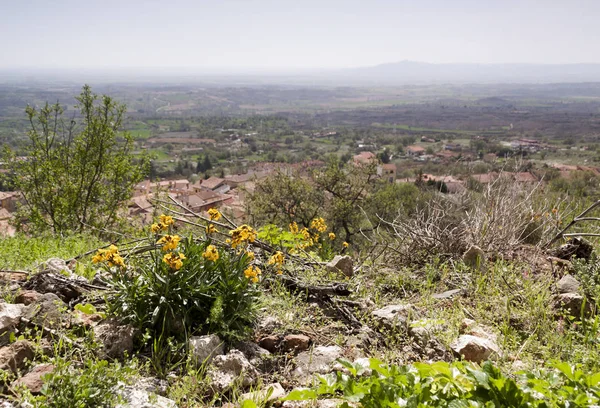 Poza Sal Las Merindades Severně Burgosu Castilla Leon Vesnice Felix — Stock fotografie