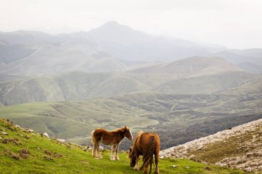 Sonbaharda Urkulu zirvesinden, dağlarından ve Irati ormanından manzara. Pireneler 'deki Aezkoa ve Salazar Vadisi, Navarra. İspanya.