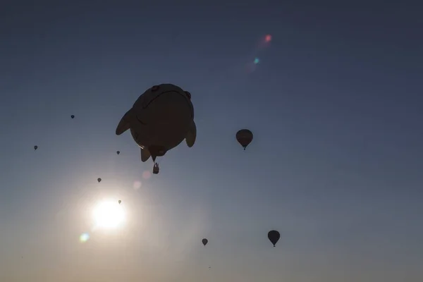 Festival Balão Aerostático Sobre Cidade Segóvia Castilla Leon Espanha Aventuras — Fotografia de Stock