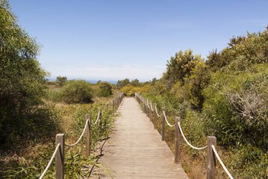 Alentejo 'daki balıkçıların rotası, Portekiz' deki kayalıklarla gezinti. Kıyı şeridi boyunca ahşap yol.
