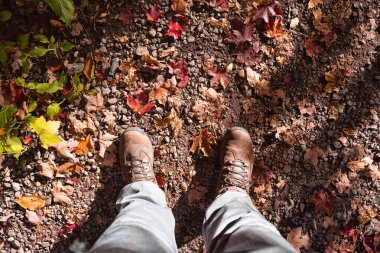 Kanada 'da sonbaharın başında dünya üzerinde turuncu akçaağaç yaprakları olan bir adam..