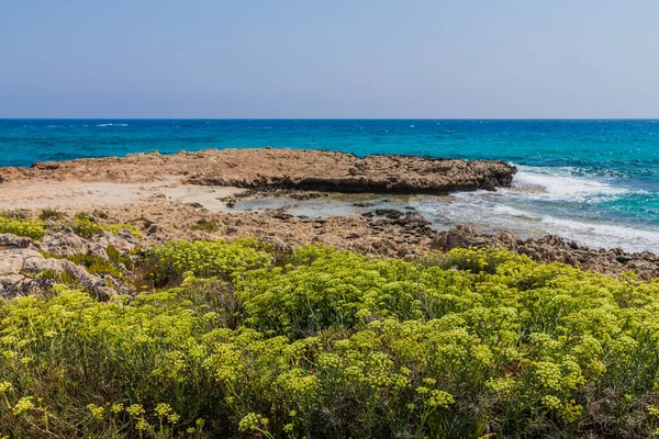 Typický pohled na Agia Napa na Kypru — Stock fotografie