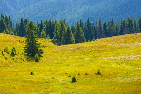 Krajobraz droga Transalpina w góry Parang, Rumunia — Zdjęcie stockowe