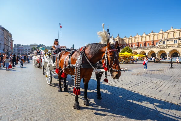 KRAKOW, POLAND - September 16, 2016: Horse carriages at main square in Krakow in a summer day, Poland — Stock Photo, Image