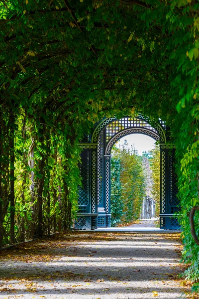 Passarela romântica jardim formando túnel agreen de acácias — Fotografia de Stock