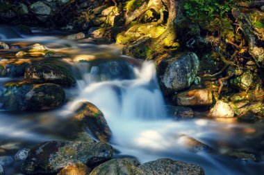 güzel şelale orman, Tatras dağlar, Polonya