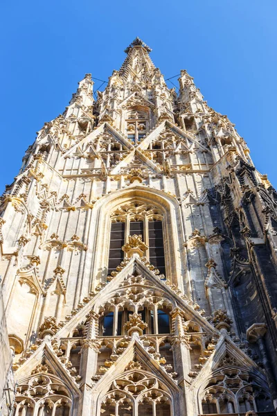 Catedral de San Esteban en Viena, Austria —  Fotos de Stock