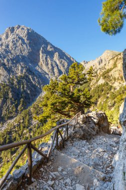 Girit, Grece Samiriye Gorge