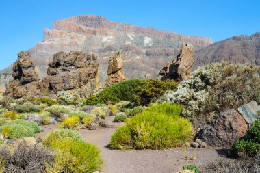 Roques de Garcia ve El Teide yanardağı, Tenerife Adası, İspanya