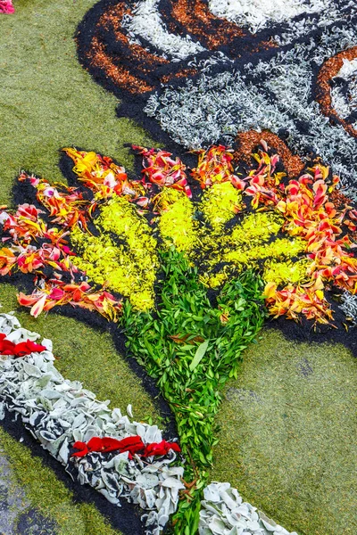 拉下山，特内里费岛，西班牙-2015 年 6 月 11 日: 珀斯的庆祝活动是在特内里费岛最根深蒂固的传统之一 — 图库照片