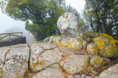 dağ izi sisli gün, Tenerife