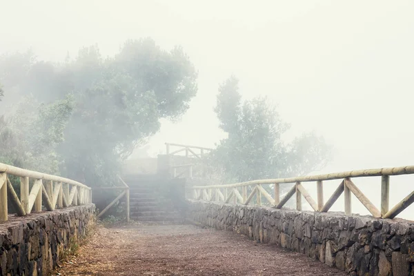 Szlak górski w mglisty dzień, Teneryfa — Zdjęcie stockowe