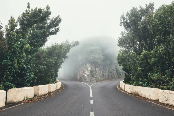Mountain road at cloudy day with green trees — Stock Photo, Image