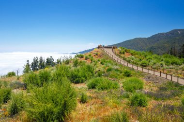 Teide Milli Parkı'nda Tenerife, İspanya bulutların üzerinde bakış açısı