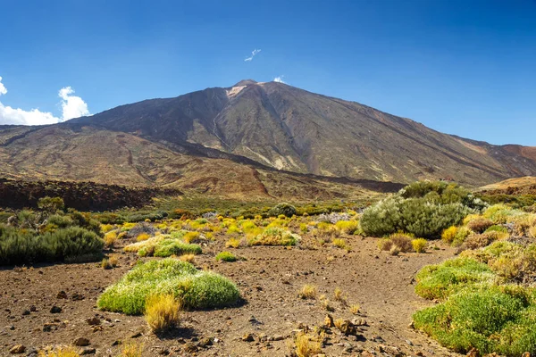 El Teide vulkanen i Teneriffa, Kanarieöarna, Spanien — Stockfoto