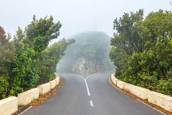 Estrada da montanha em dia nublado com árvores verdes — Fotografia de Stock