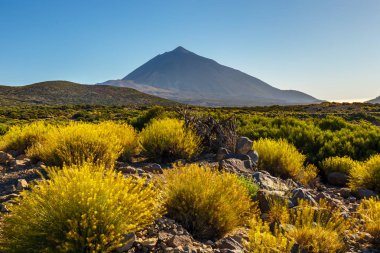 Günbatımı üzerinde Teide yanardağı Tenerife, Kanarya Adası, İspanya