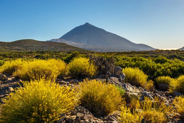 Günbatımı üzerinde Teide yanardağı Tenerife, Kanarya Adası, İspanya