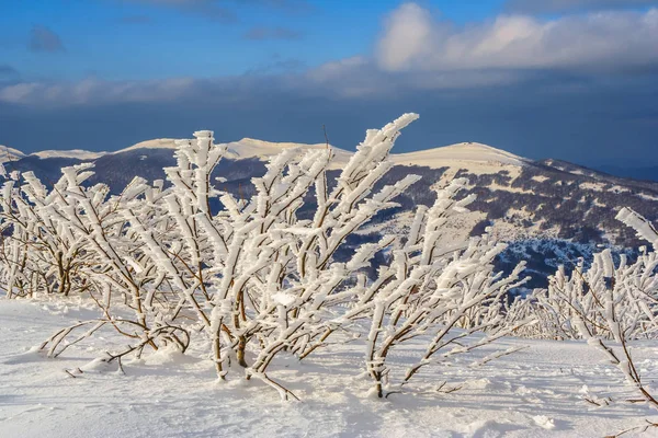 Paisagem de montanha de inverno em montanhas Bieszczady, sudeste da Polônia — Fotografia de Stock