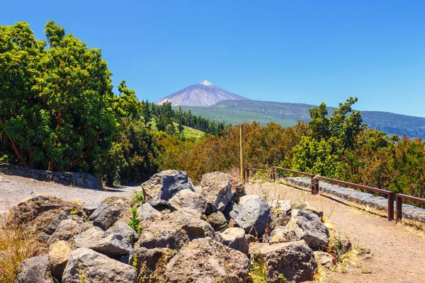 Utsikt över El Teide vulkanen i Teneriffa, Kanarieöarna, Spanien — Stockfoto