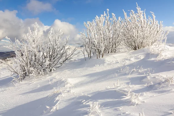 在 Bieszczady 山，南波兰东部山冬景 — 图库照片