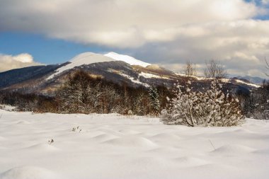 Bieszczady Dağlar, Güney Doğu Polonya kış dağ manzarası