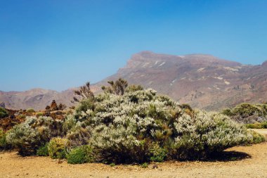 Görünümünü El Teide yanardağı Tenerife, Kanarya Adaları, İspanya 