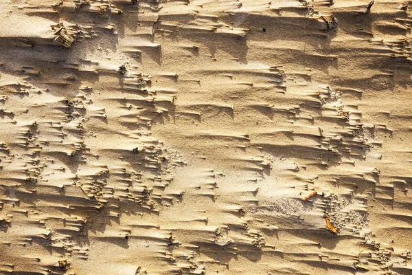 自然的形态，在海滩上的沙 — 图库照片