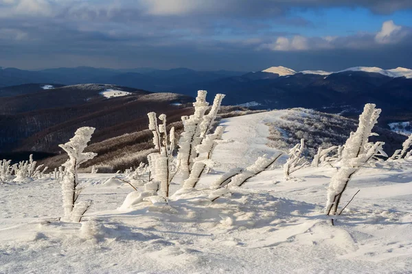 在 Bieszczady 山，南波兰东部山冬景 — 图库照片