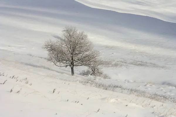 在 Bieszczady 山，南波兰东部山冬景 — 图库照片