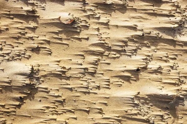 Naturliga former i sanden på stranden — Stockfoto